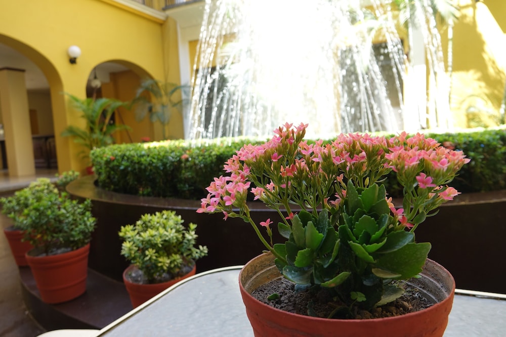 Colima Vacations - Hotel America Colima - Property Image 4