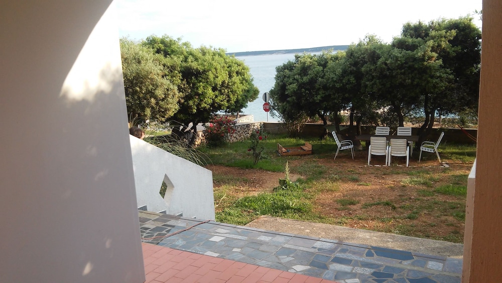 Photo 42