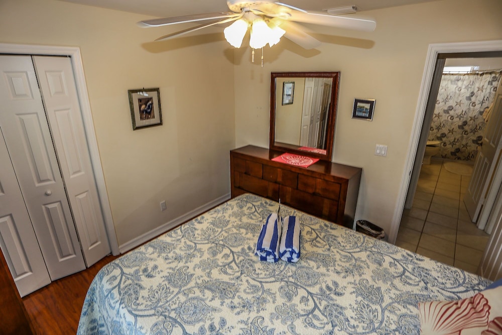 295 Mango view 3