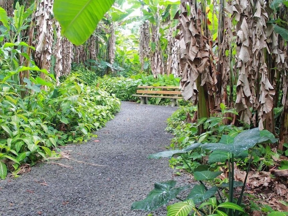 Big Island Vacations - Dolphin Bay Hotel - Property Image 1