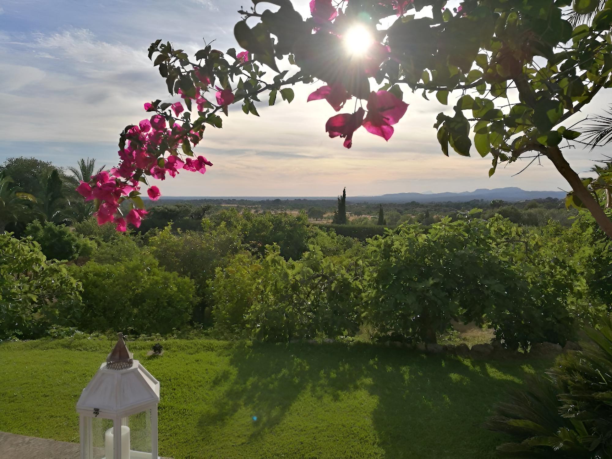 Son Terrassa view 4