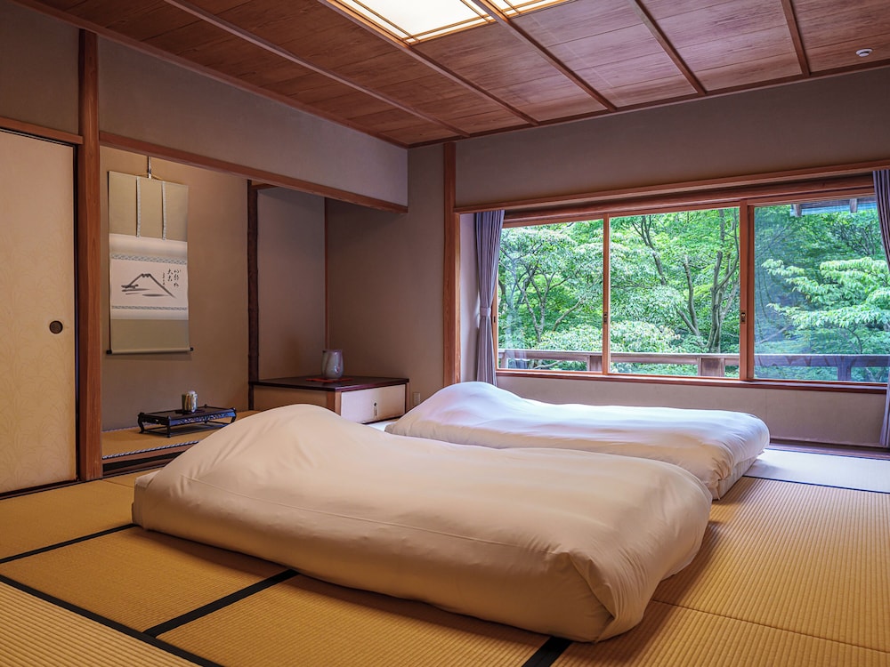 UNZEN HANZUIRYO view 4