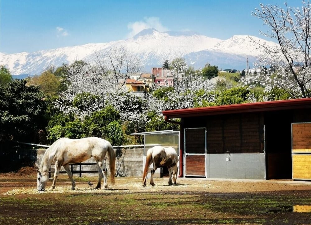 Petralava Etna B&B