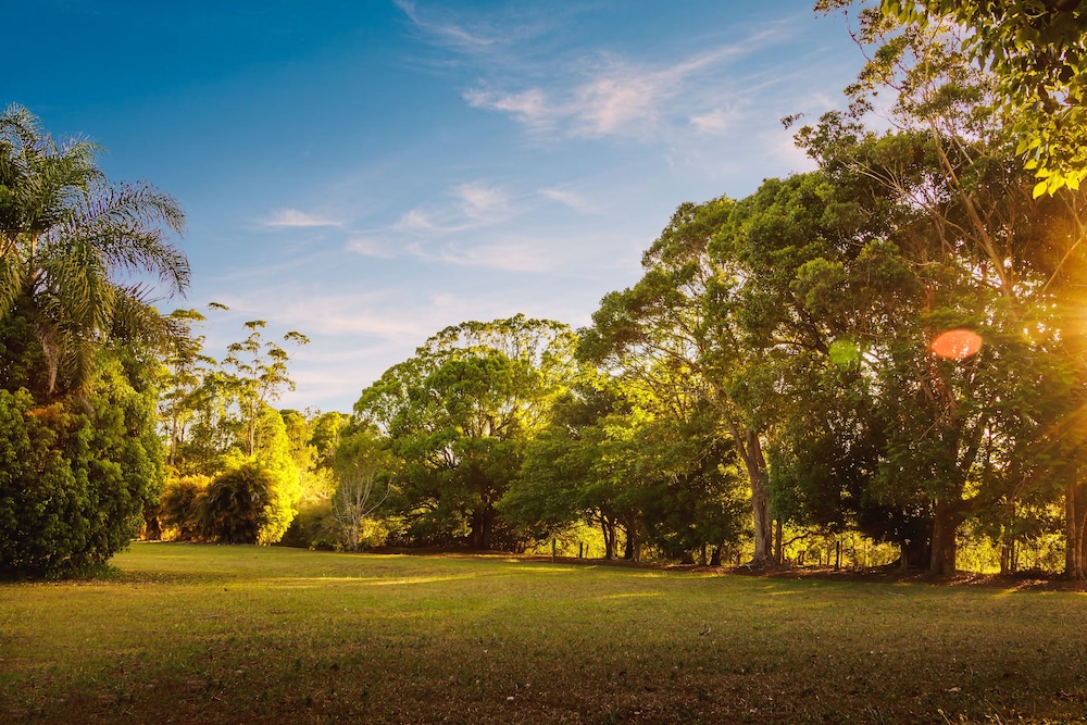 Malanda Lodge view 4