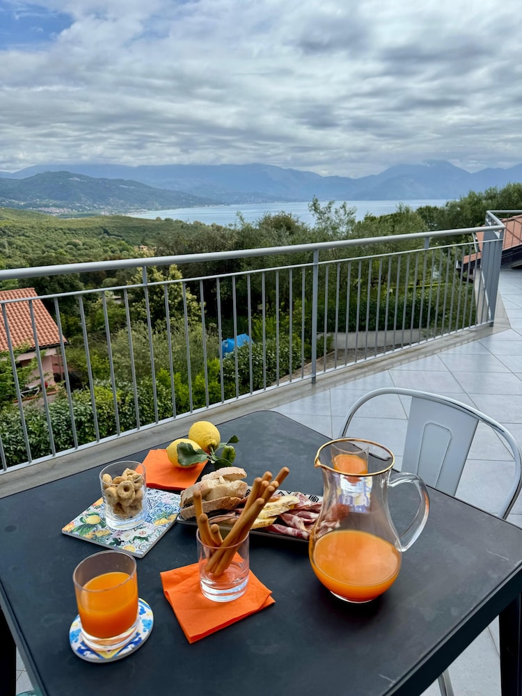 Scario Club