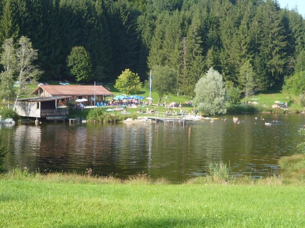 Photo 40