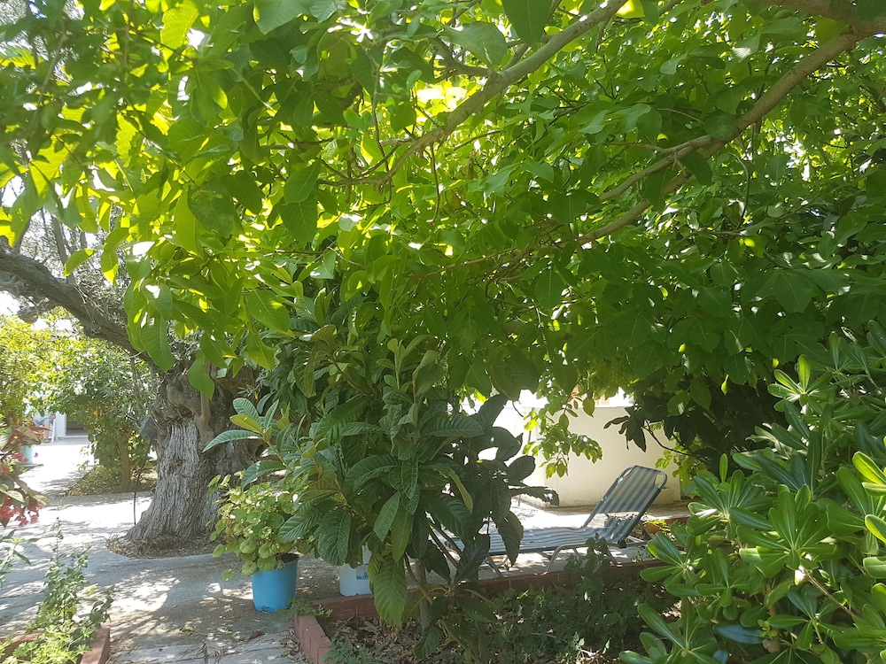 Photo 17