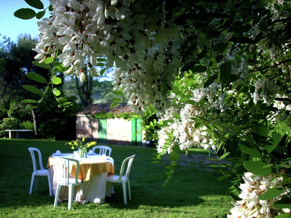 Photo 28