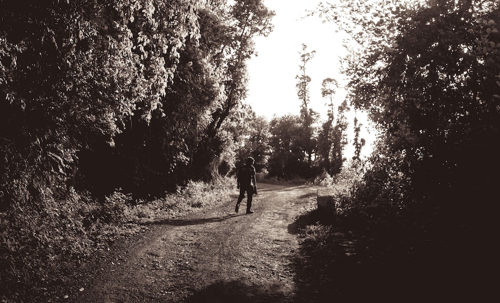 Photo 33