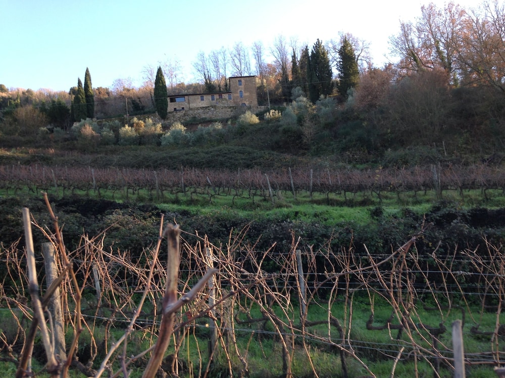 Il Burellino Wine & Resort