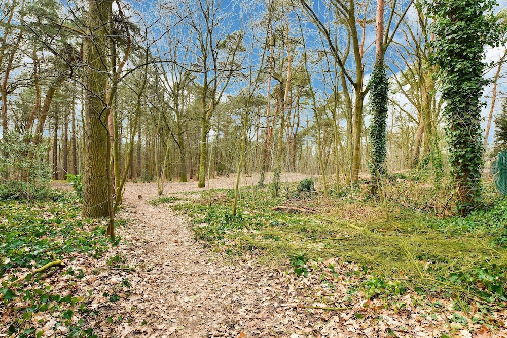 Holiday Home in Meijel Near De Groot Peel Park, photo 23