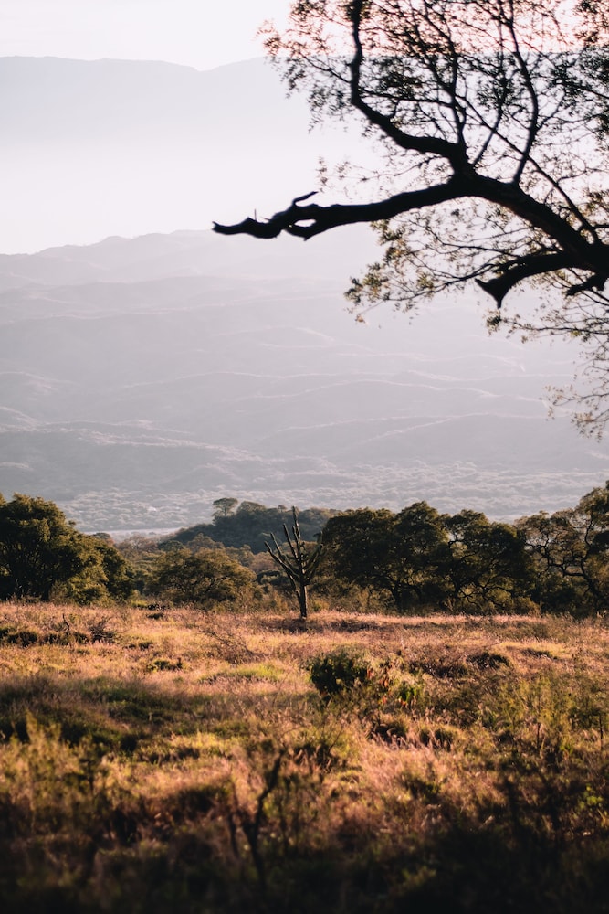 La Ceiba