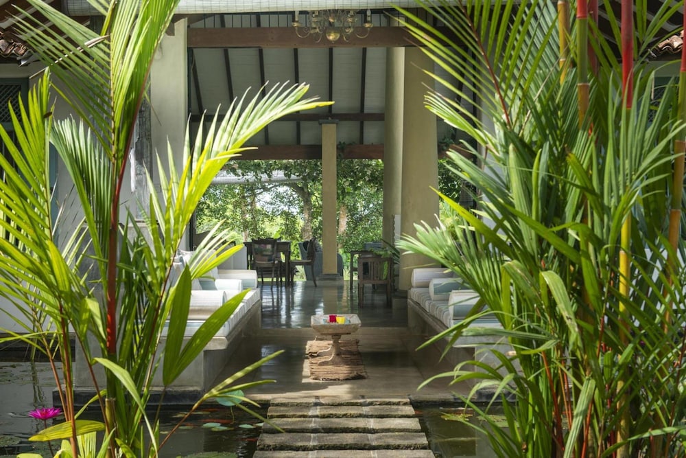 08 Acre Private Tea Estate Close To Galle