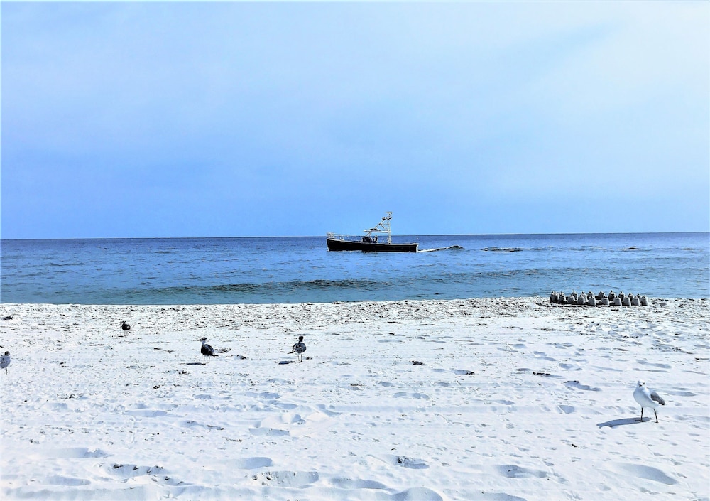Photo 40