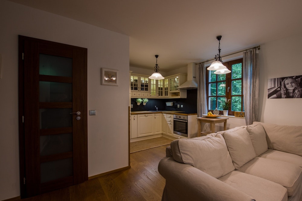 Villa in Ore Mountains Near Ski Areal Kliny