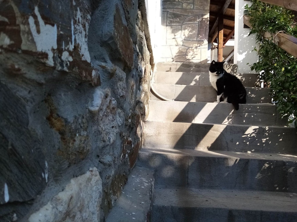 Petrino1880 Sea-vacation Apartment in Chalkidiki view 5