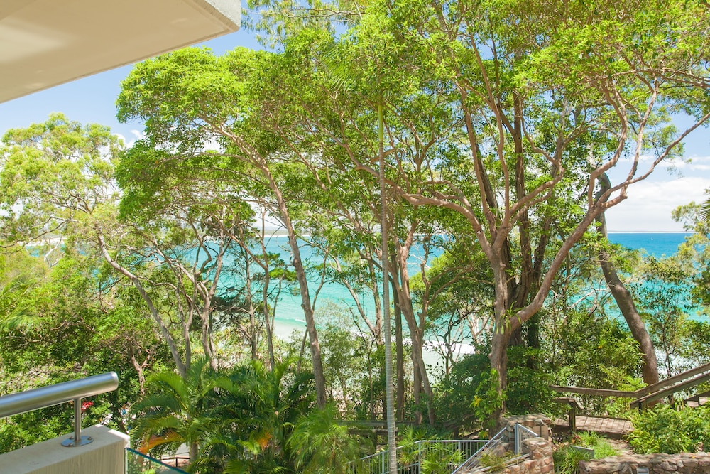Little Cove Court