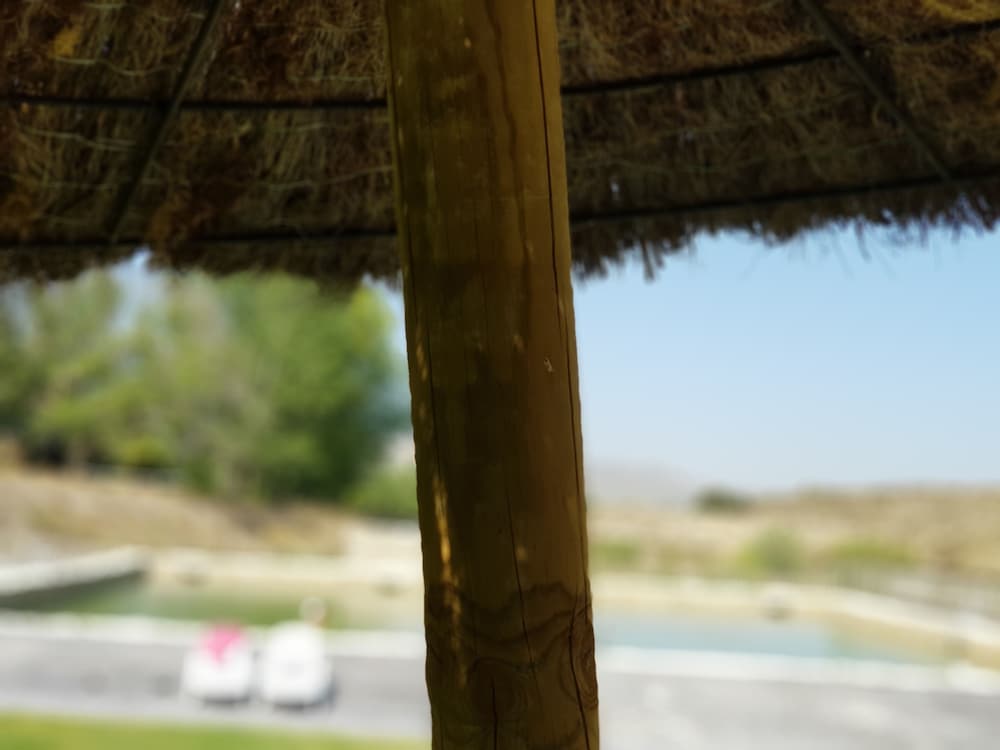 Photo 42
