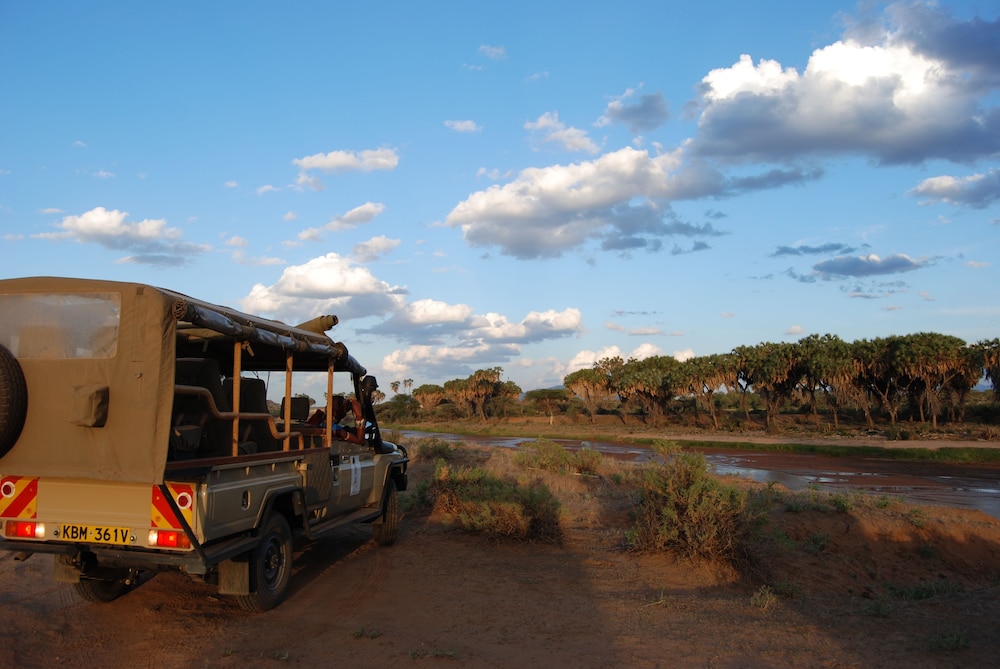 Elephant Bedroom Camp