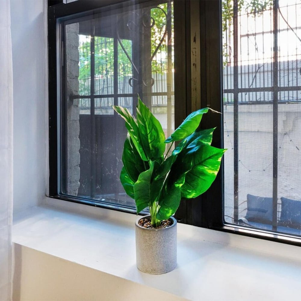 74-1c New Studio With Private Outdoors - GYM