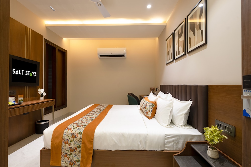 Saltstayz Premier Naraina Central Delhi