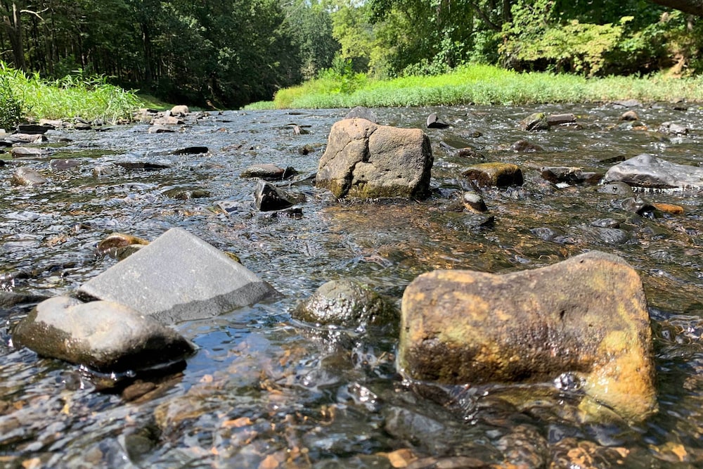 Riversong Cabin w/ Fire Pit on North River