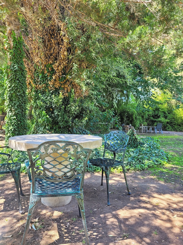 Finca La Saucina