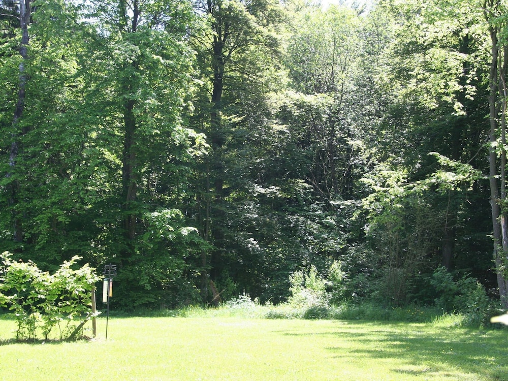 Detached Bungalow With Dishwasher, in a Green Area view 3