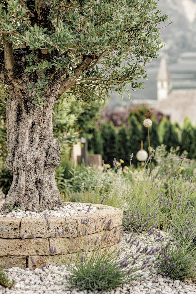 Amolaris Garden Loges & Guesthouse