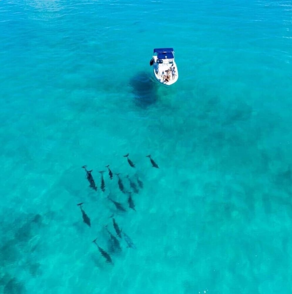 Bibee Maldives