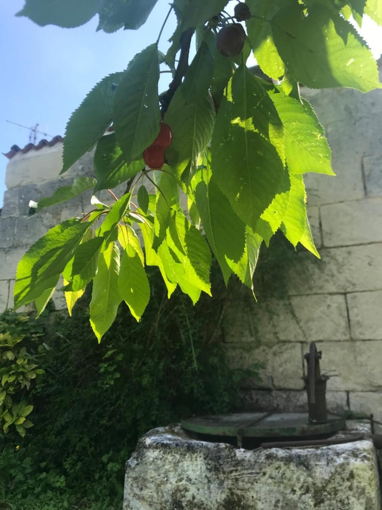 Photo 41