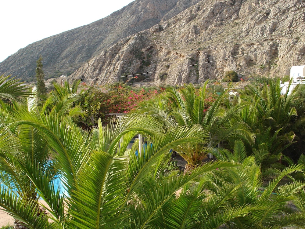 Photo 48