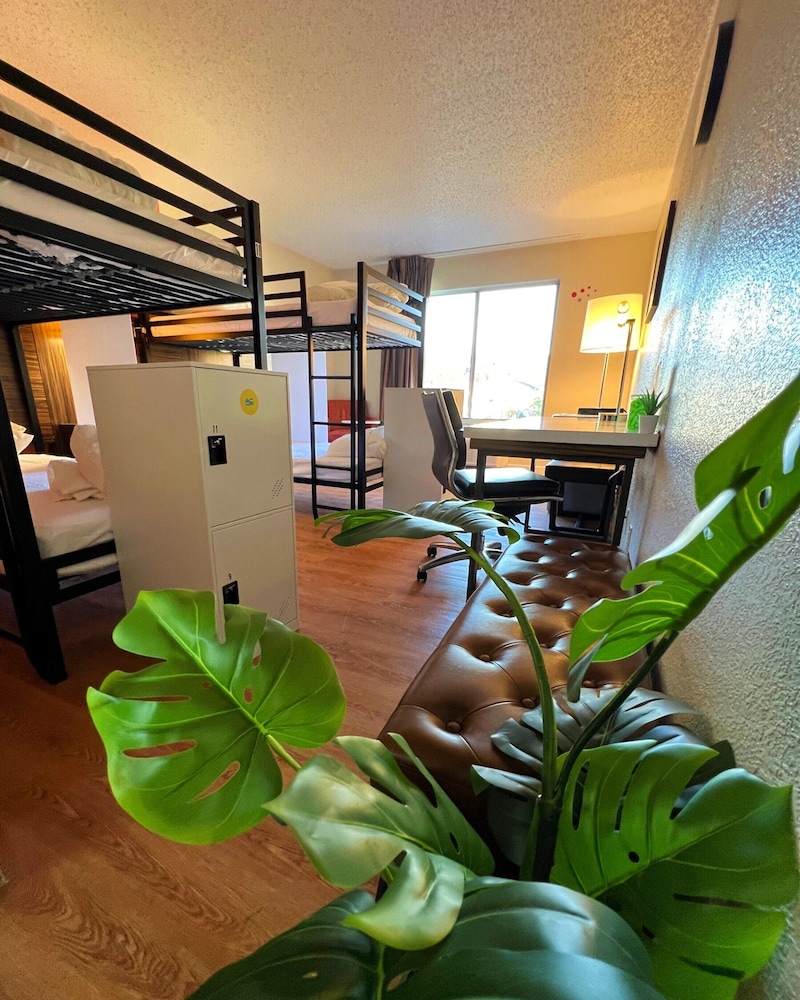 Bposhtels Charlotte - Hostel view 4