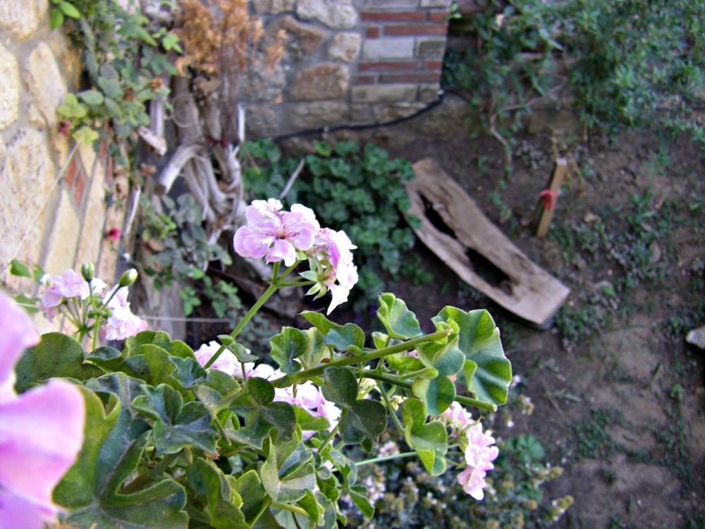 Photo 30