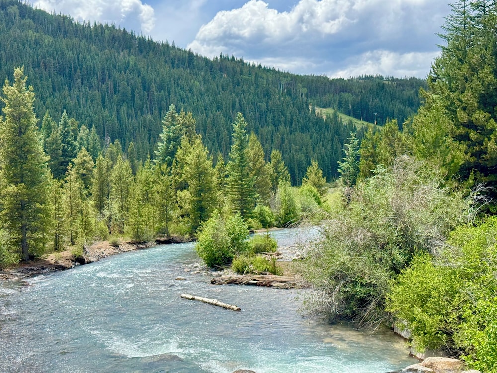 Settlers Creek 6540