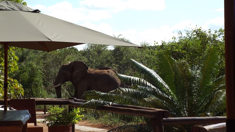Baluleni Safari Lodge