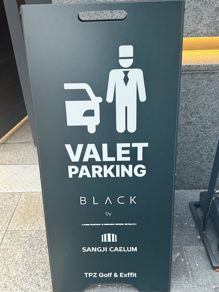 Caelum Black Gangnam Luxury Apt
