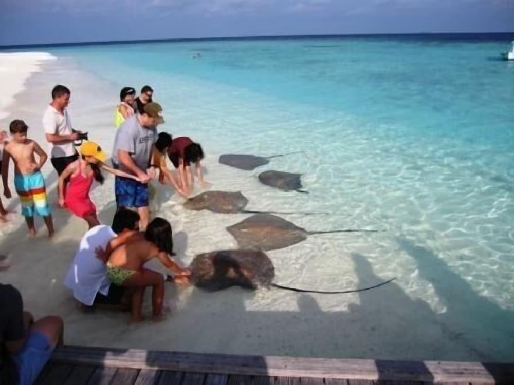 Plus View Maldives