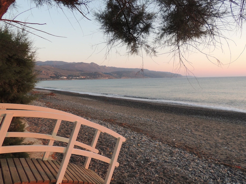 Arion Beach Hotel photo 5