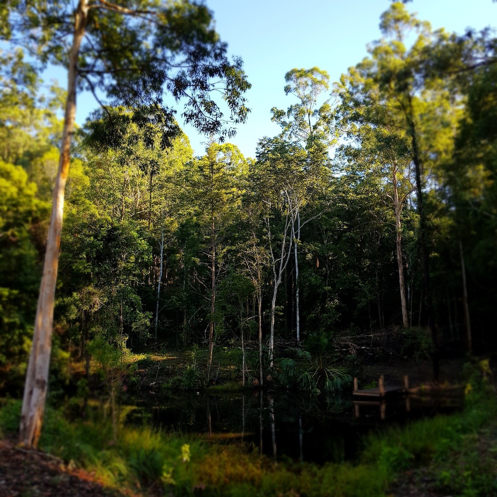 Carawirry Forest Escape
