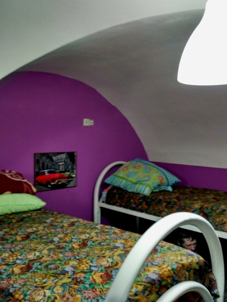 JUNGLE - Hostel