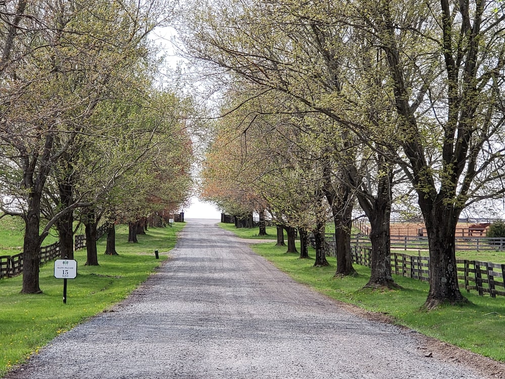 Leesburg Vacations - The Manor at Courtland Farm - Property Image 97