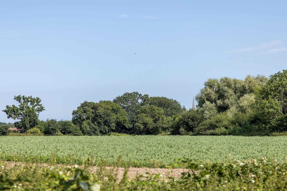Homely Cottage for 6 Near Chichester Goodwood