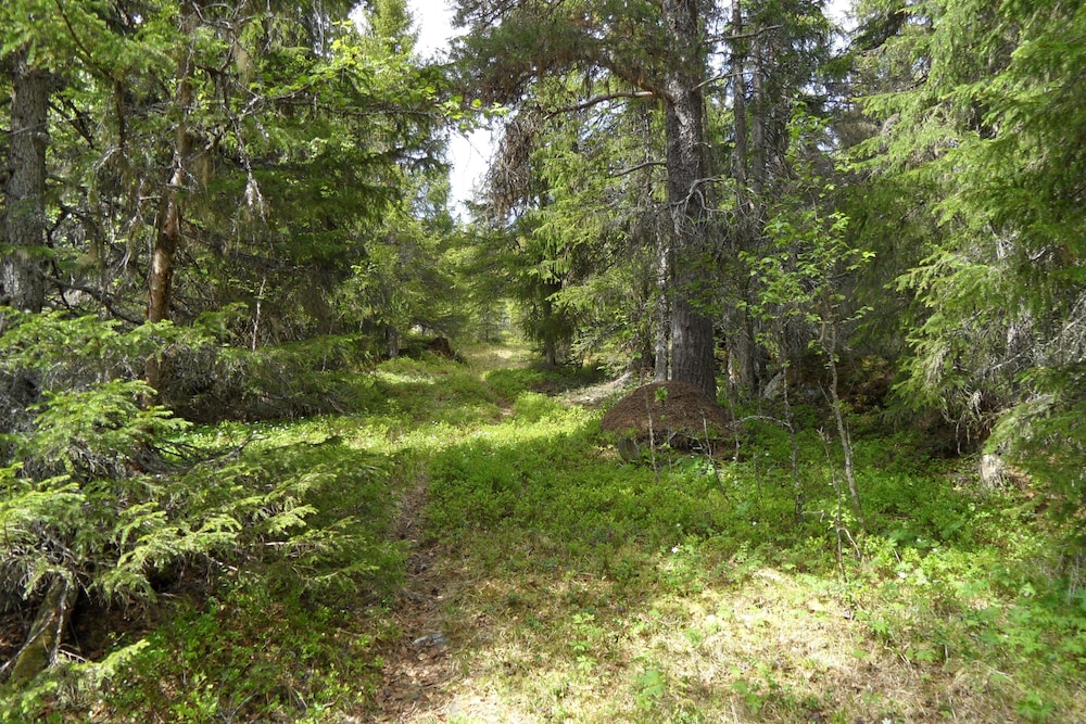 Photo 16