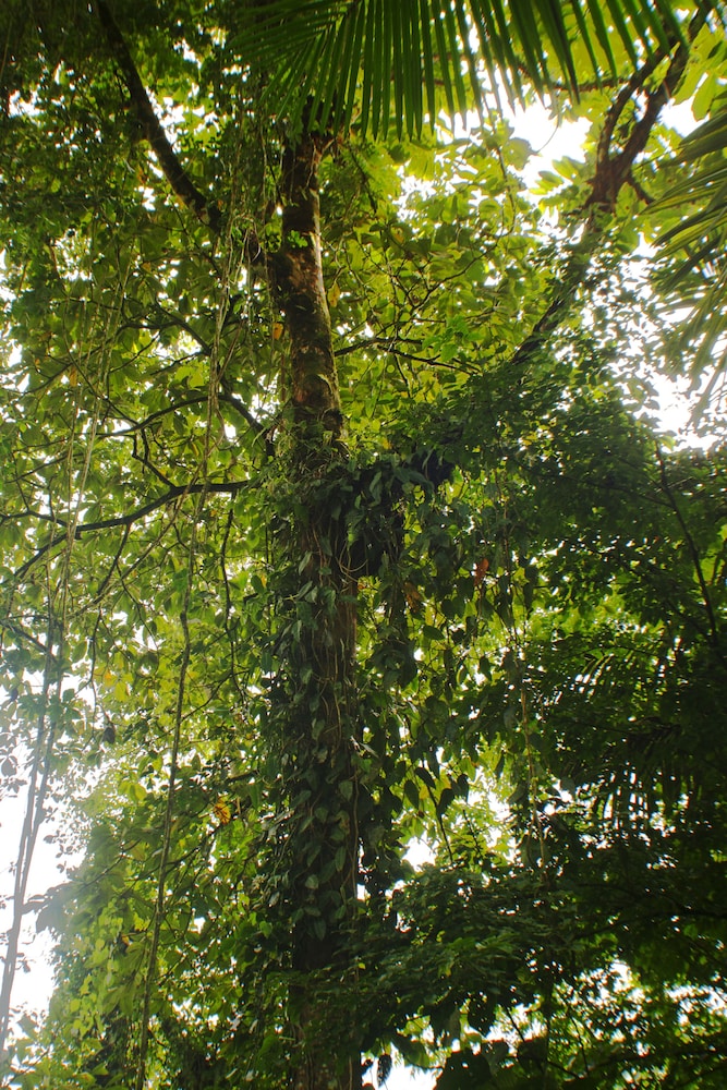 Photo 43