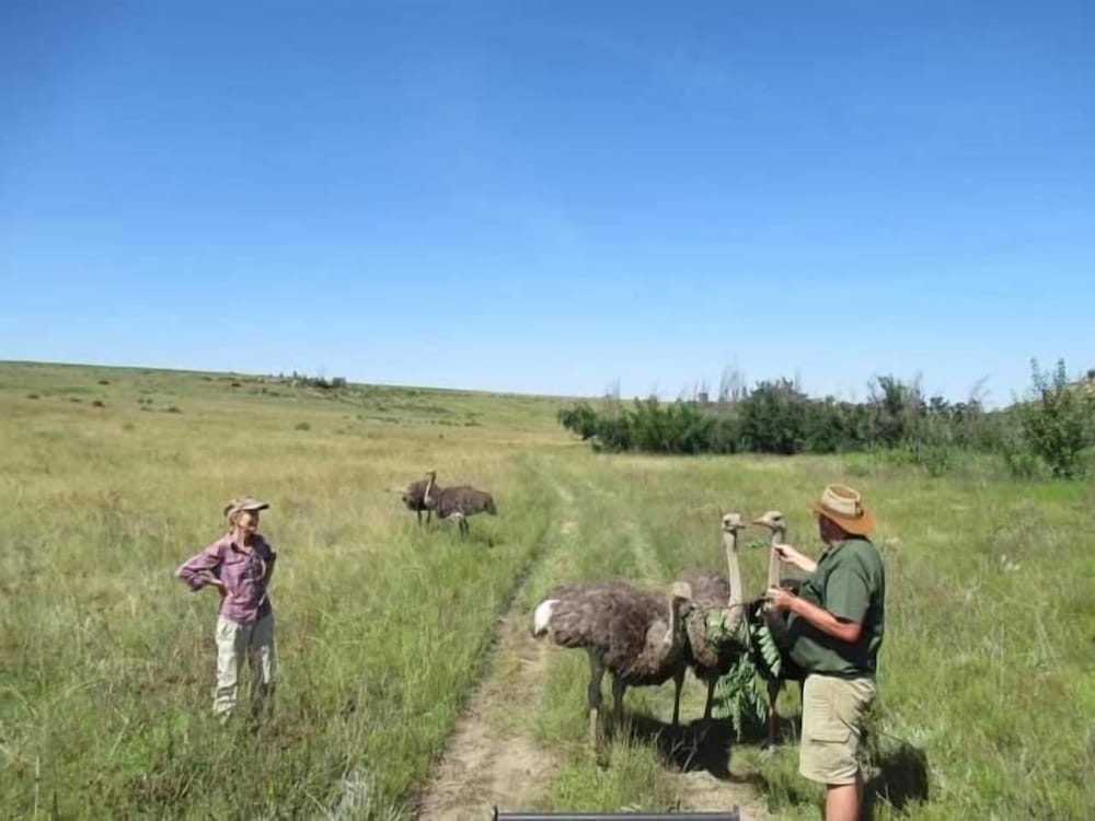 Boschfontein Mountain Lodge
