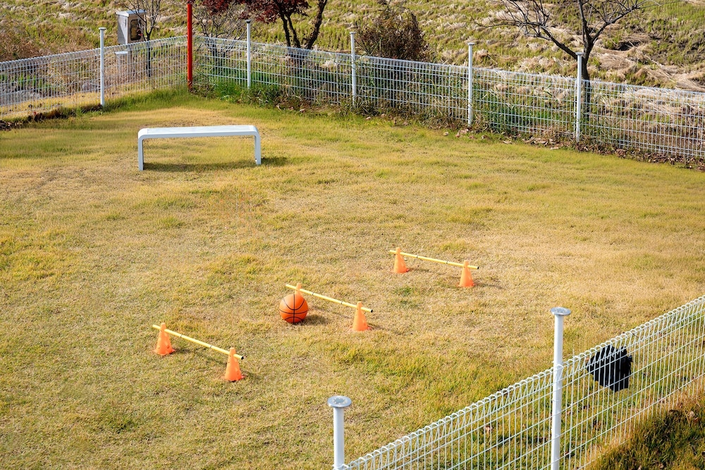 Ganghwa Aboha Pet-friendly Pension