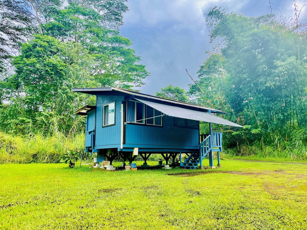 Hawaiian Sanctuary