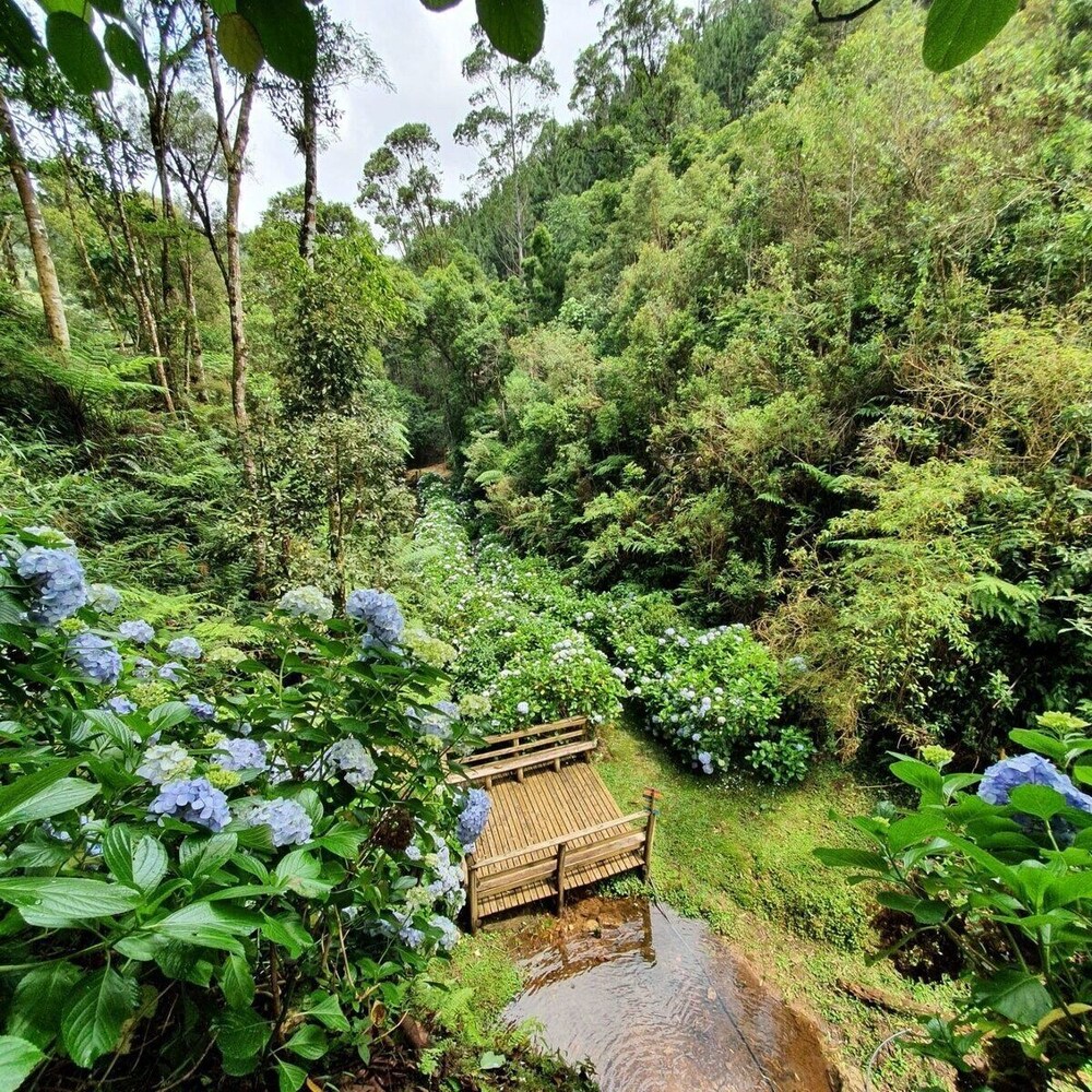 Recanto das Águas - Anitápolis - SC
