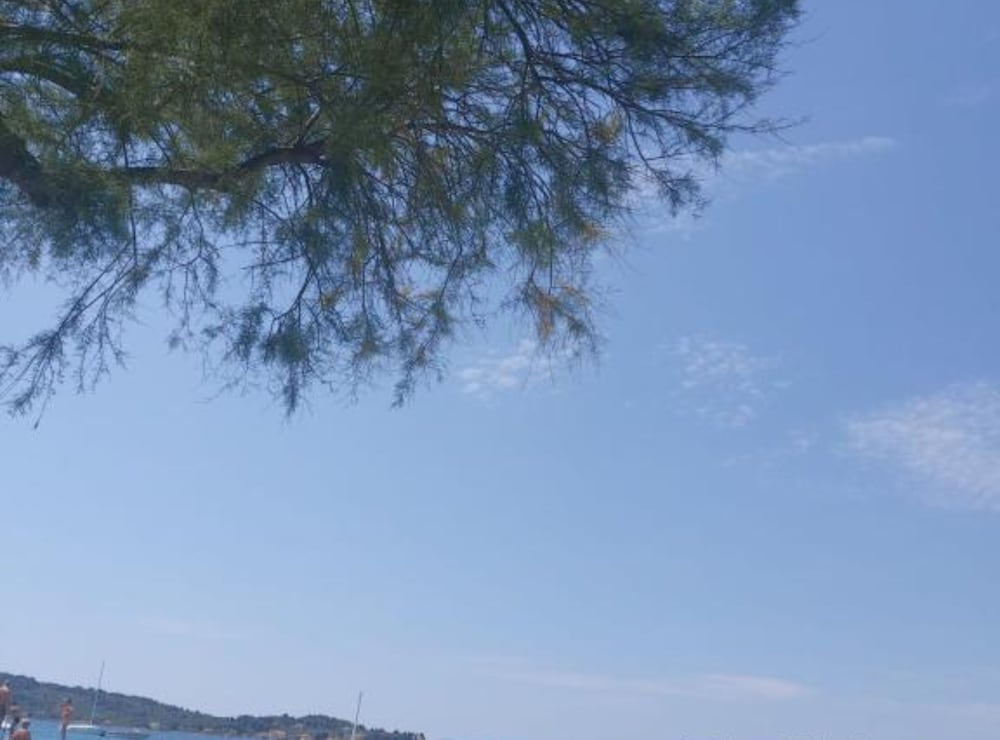 Modern Beachfront Apartments Near Šibenik